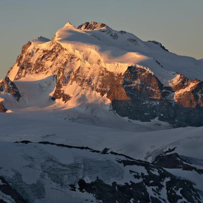 Mont Rose