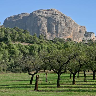 Roca de Benet