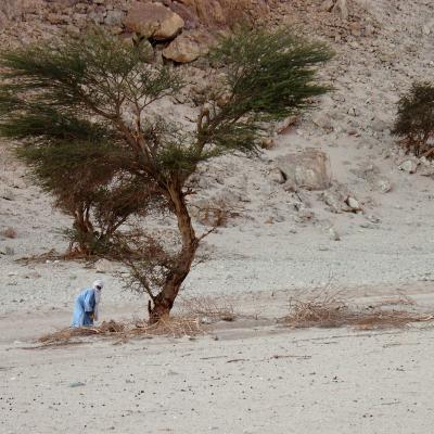 Préparation du bivouac au pied de la Garet El Djenoun