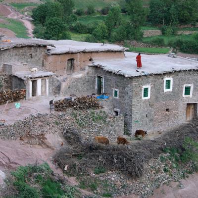 Taghia