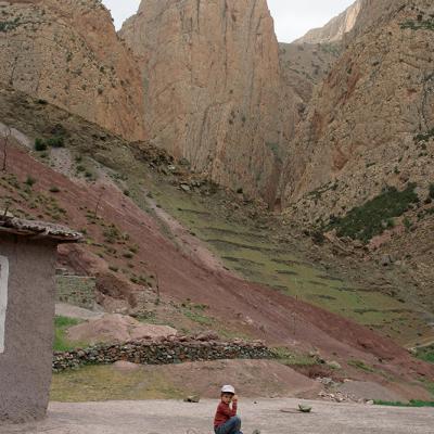 Taghia