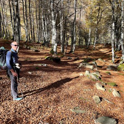 Tapis de feuilles pour Gilbert