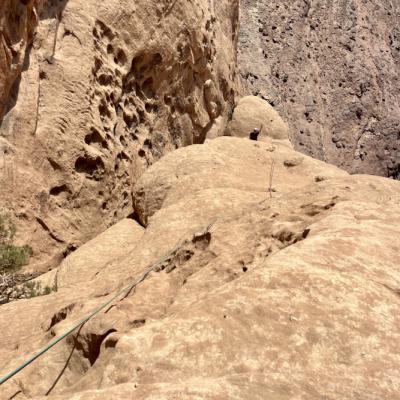 Ouverture de Family Business au Jebel Annafishiyyah
