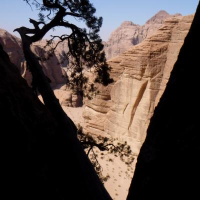 Barrah Canyon. Merlin