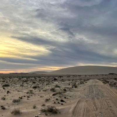 Sahara Occidental
