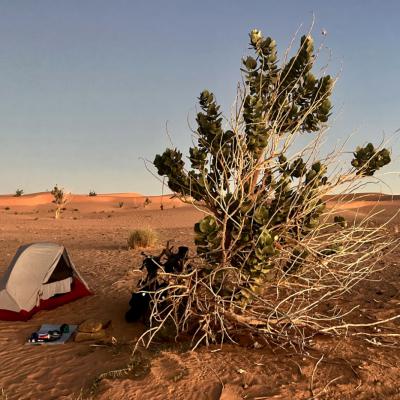 Bivouac en Mauritanie