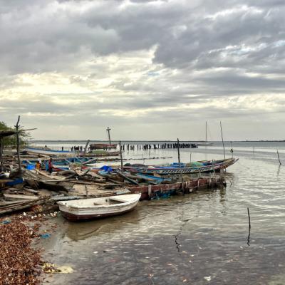 Sine Saloum