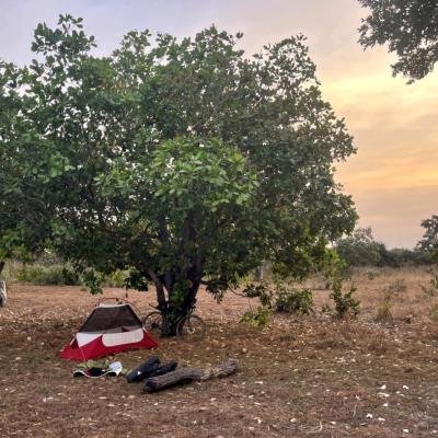 Bivouac sous les anacardiers en Guinée-Bissau