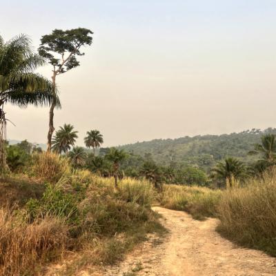 Route du Café en Guinée-Conakry